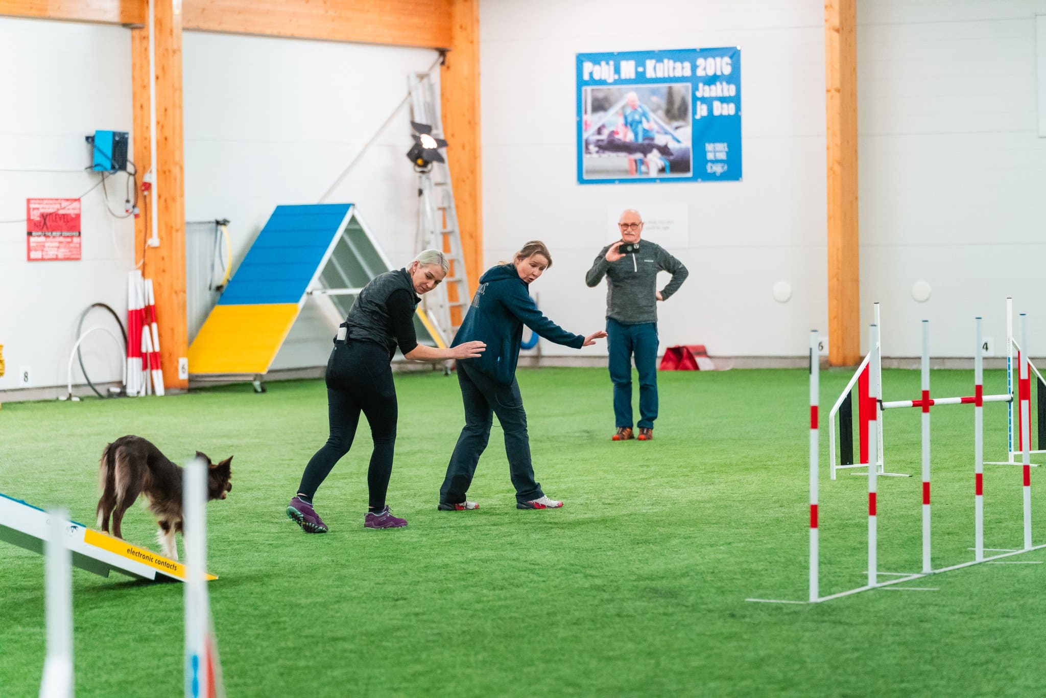 key skills dog agility