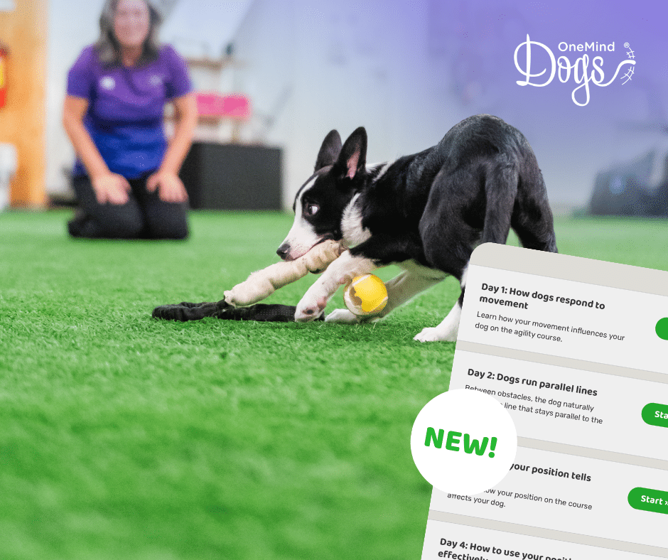 agility skill training proofing