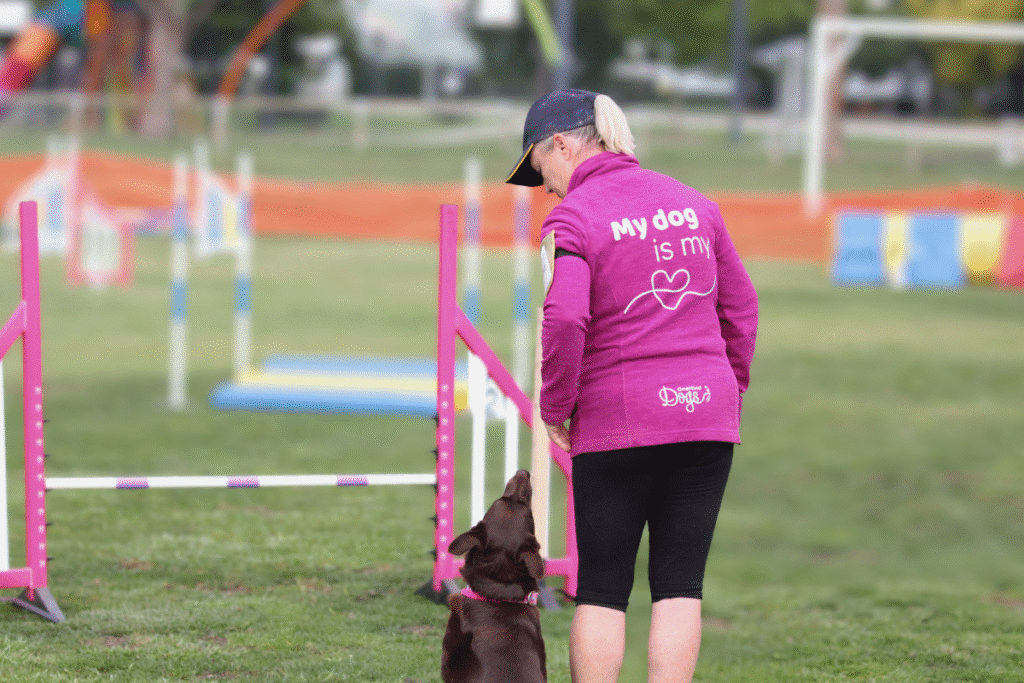 dog agility competition