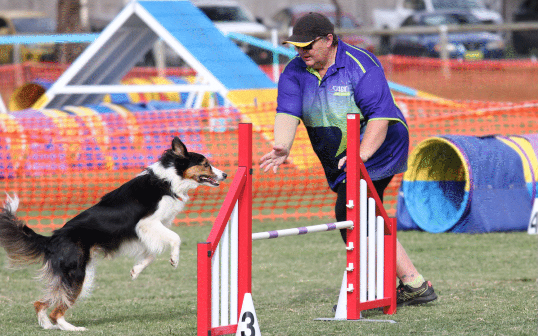Anyone can enjoy agility with their dog, running not required!
