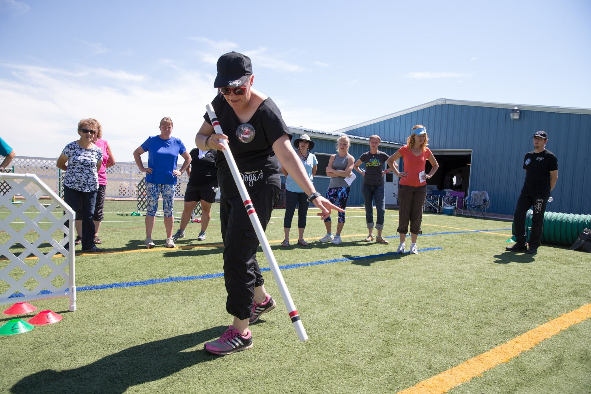 Agility course analysis: Making better handling plans