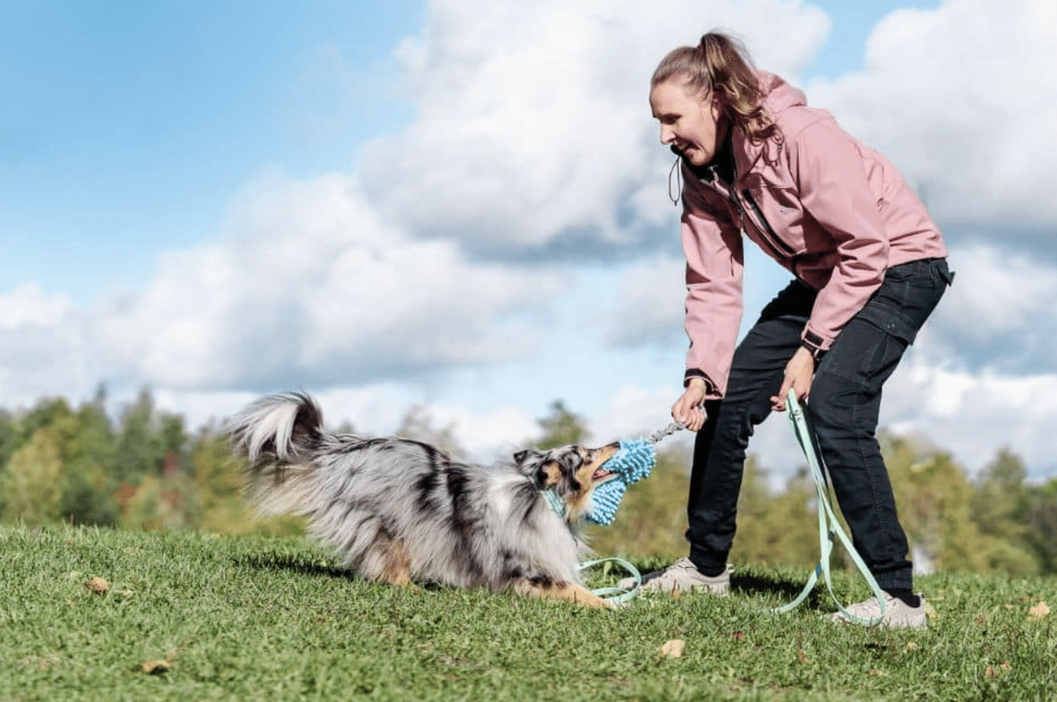 key skills dog agility