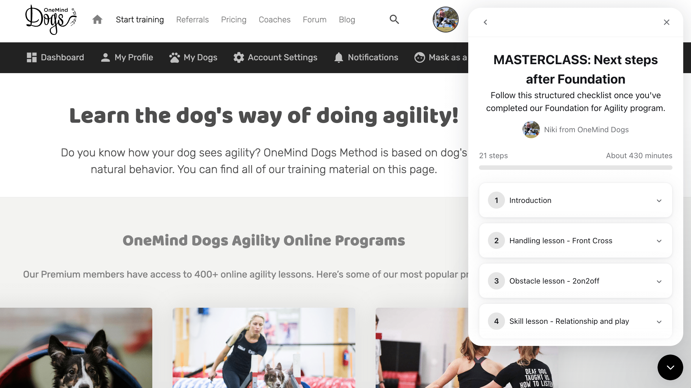 dog agility online