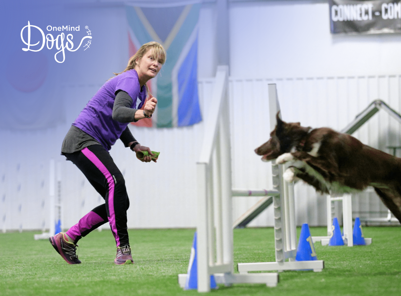 agility handling