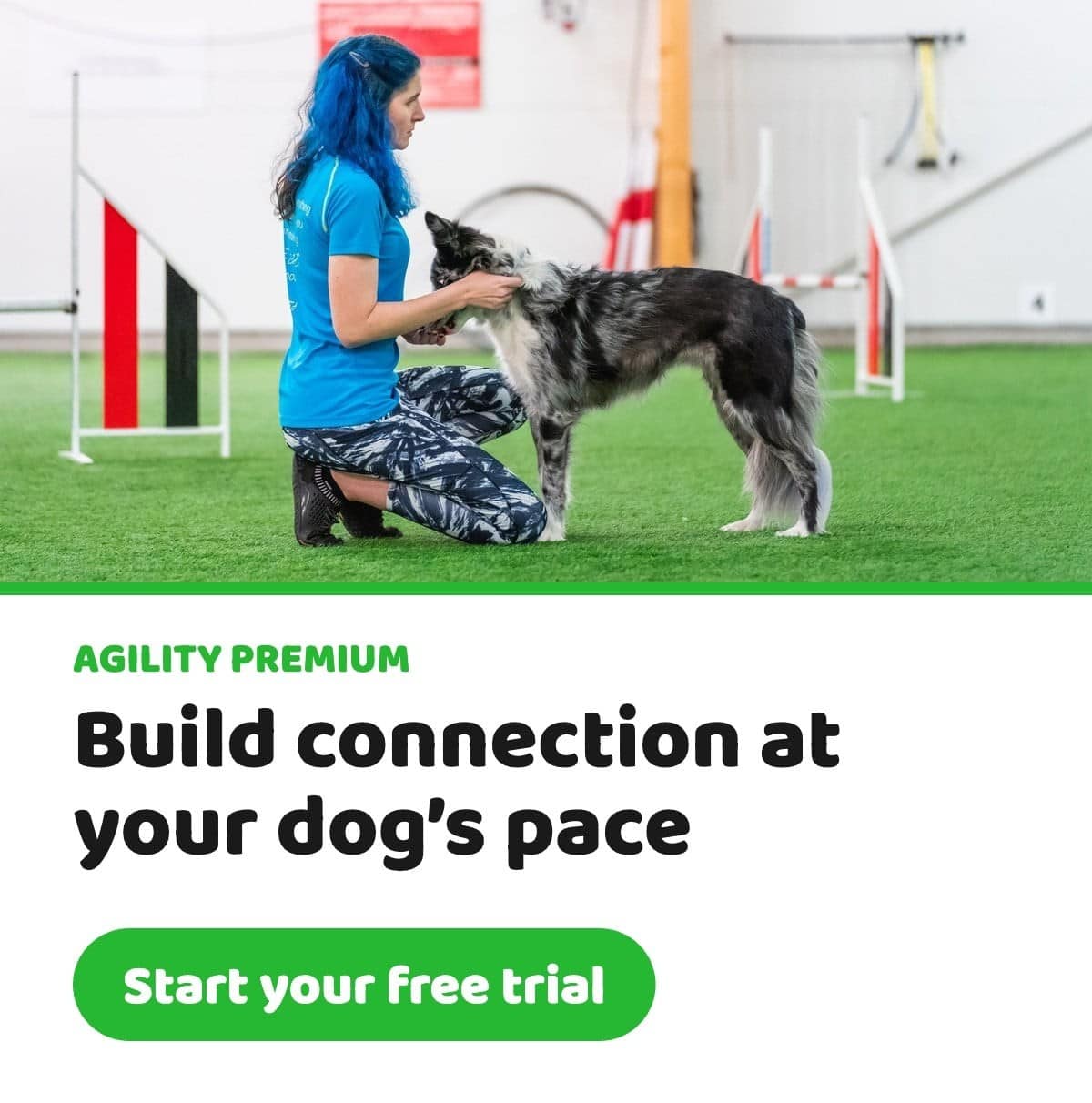 Handler kneeling with her border collie on an agility course. Agility Premium free trial: build connection at your dog’s pace