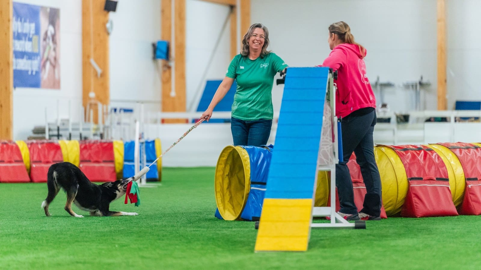 Is my dog fast enough for agility OneMind Dogs coach smiling while a border collie tugs on a toy at an indoor agility course
